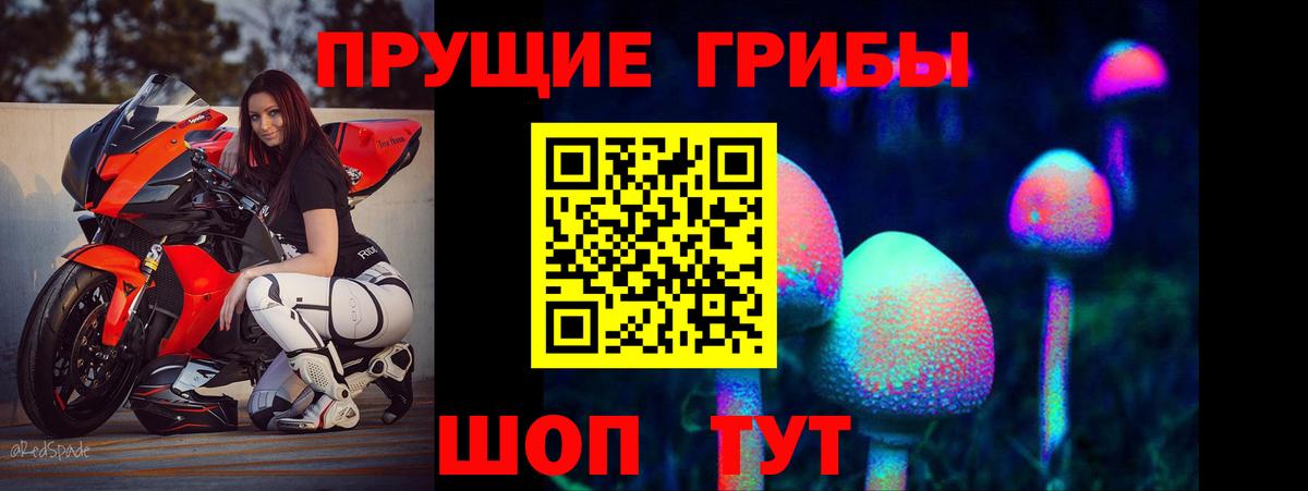 Галлюциногенные грибы Cubensis Куйбышев